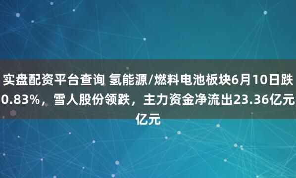 实盘配资平台查询 氢能源/燃料电池板块6月10日跌0.83%，雪人股份领跌，主力资金净流出23.36亿元