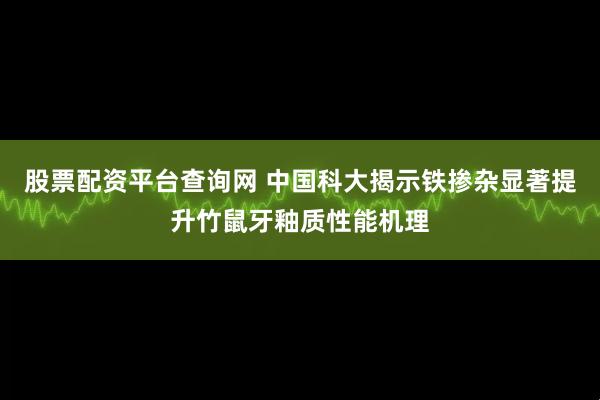 股票配资平台查询网 中国科大揭示铁掺杂显著提升竹鼠牙釉质性能机理
