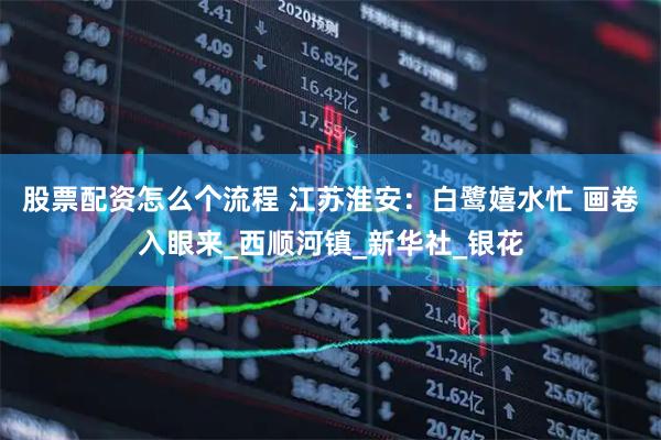 股票配资怎么个流程 江苏淮安：白鹭嬉水忙 画卷入眼来_西顺河镇_新华社_银花