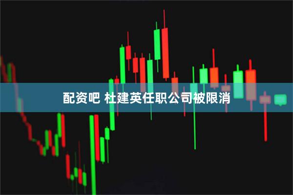 配资吧 杜建英任职公司被限消