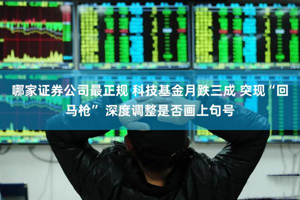 哪家证券公司最正规 科技基金月跌三成 突现“回马枪” 深度调整是否画上句号