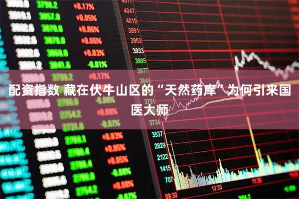 配资指数 藏在伏牛山区的“天然药库”为何引来国医大师